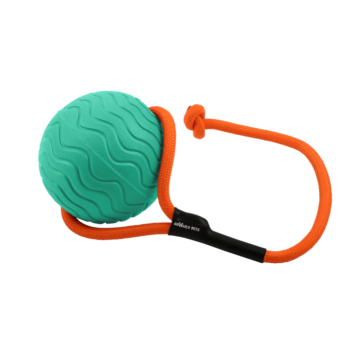 Toss n’ Train Tug Ball