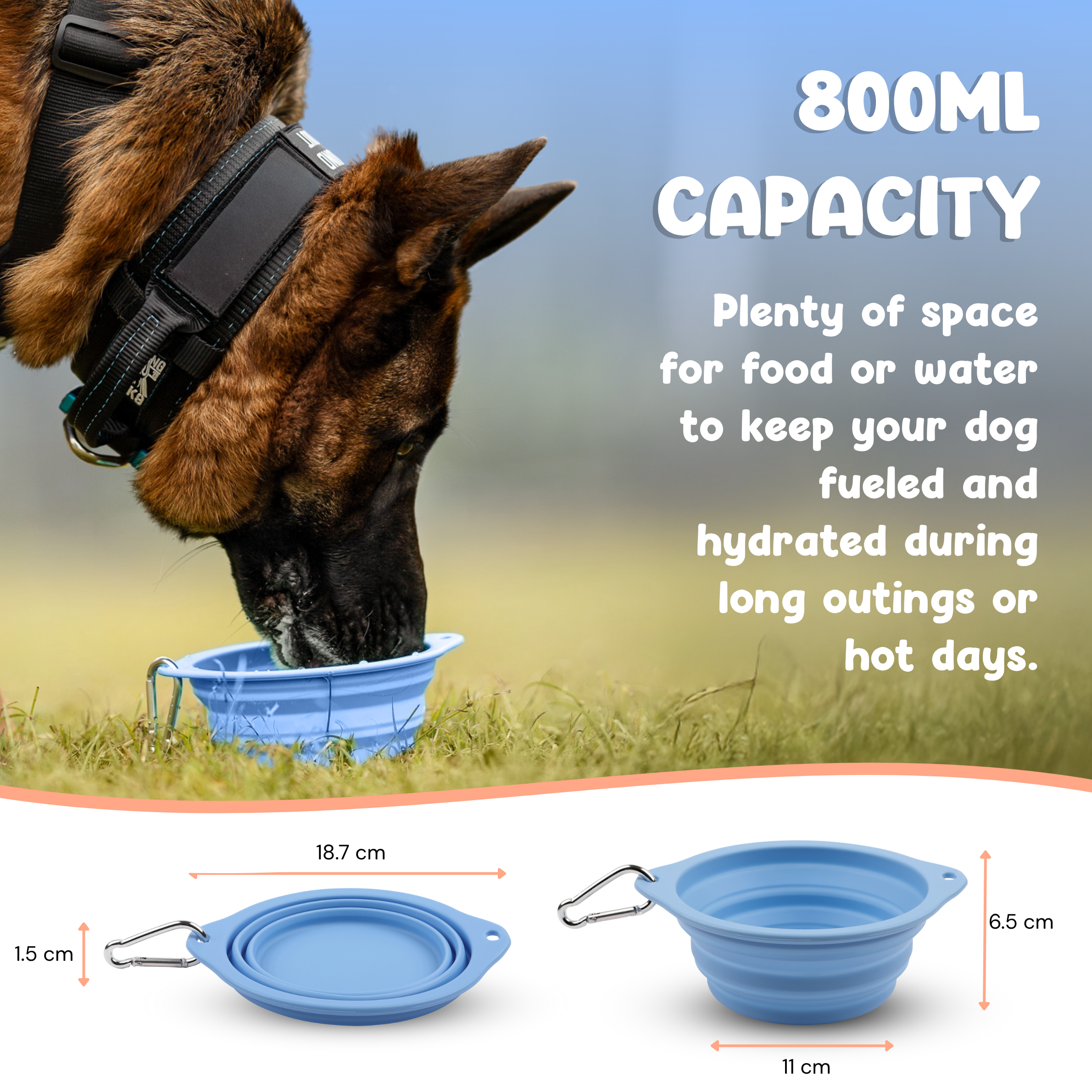 Pop-Up Bowl (800ml)