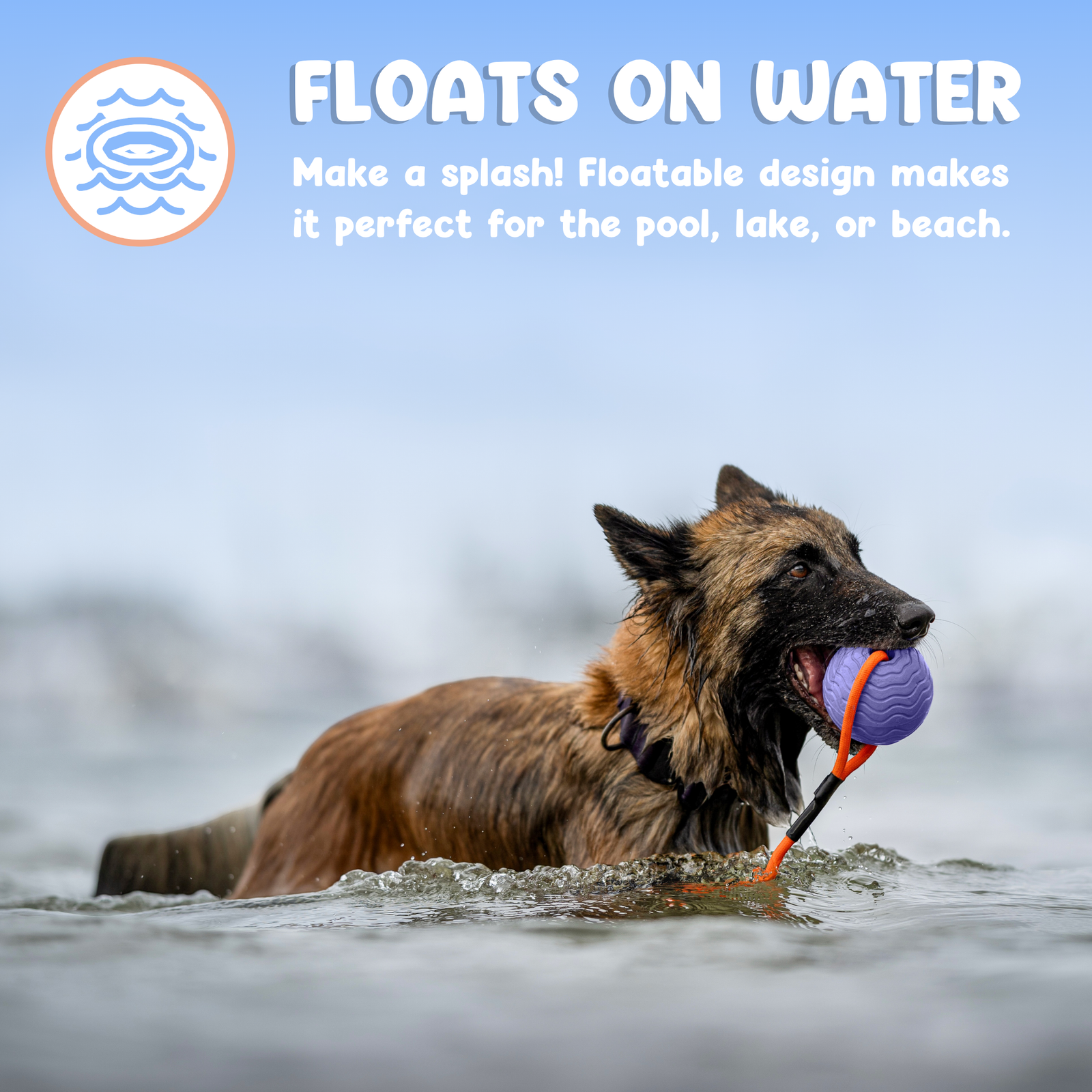 Toss n’ Train Tug Ball