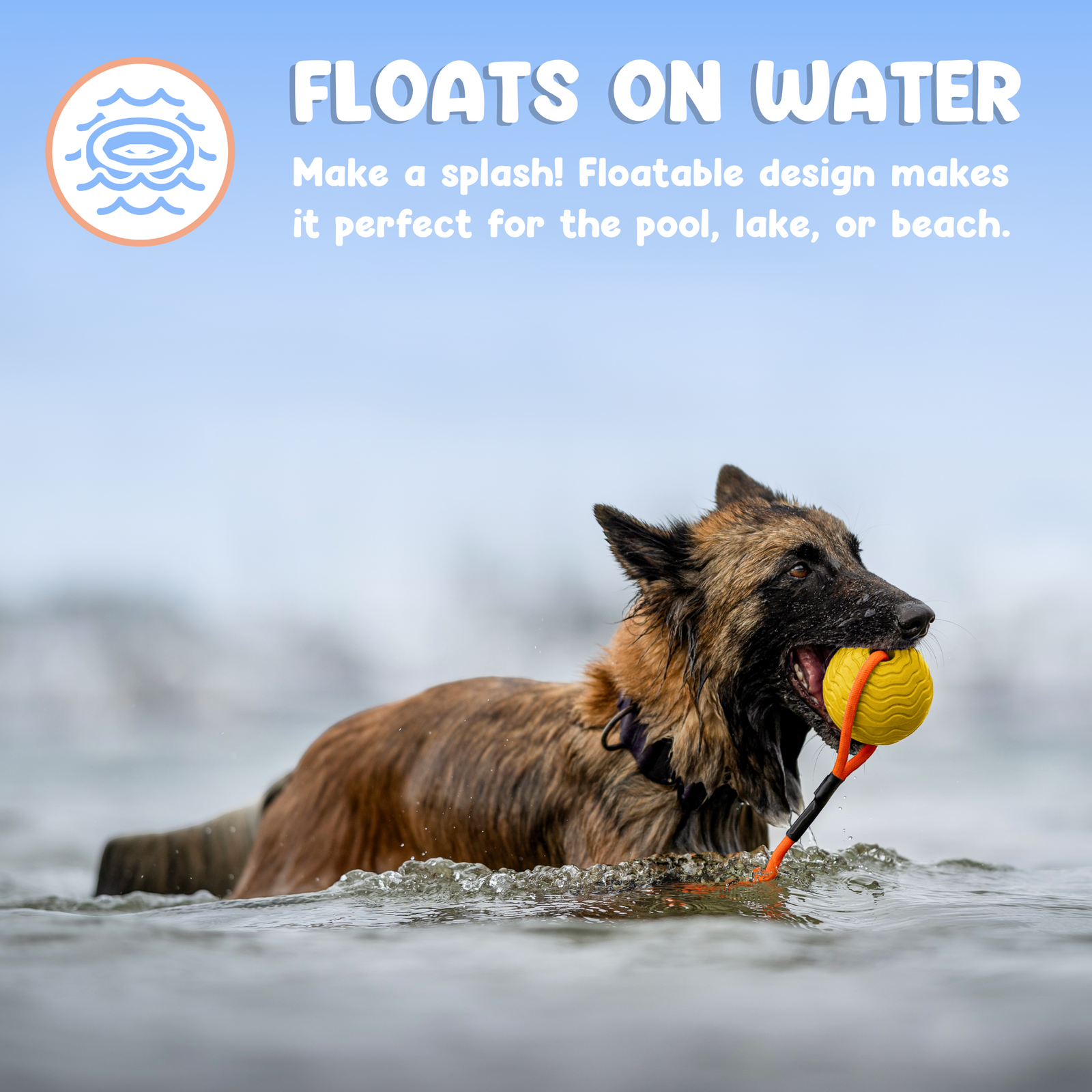 Toss n’ Train Tug Ball