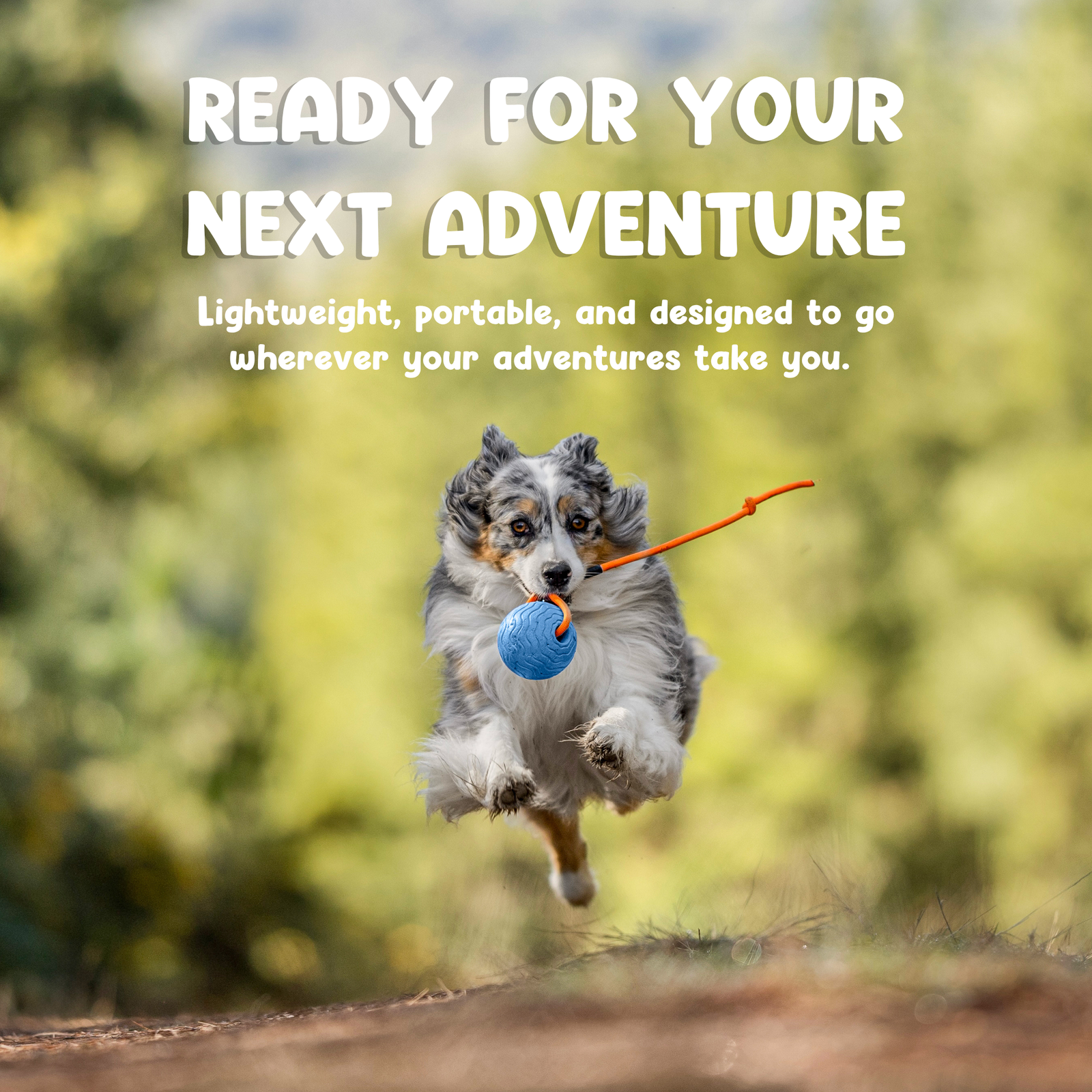 Toss n’ Train Tug Ball