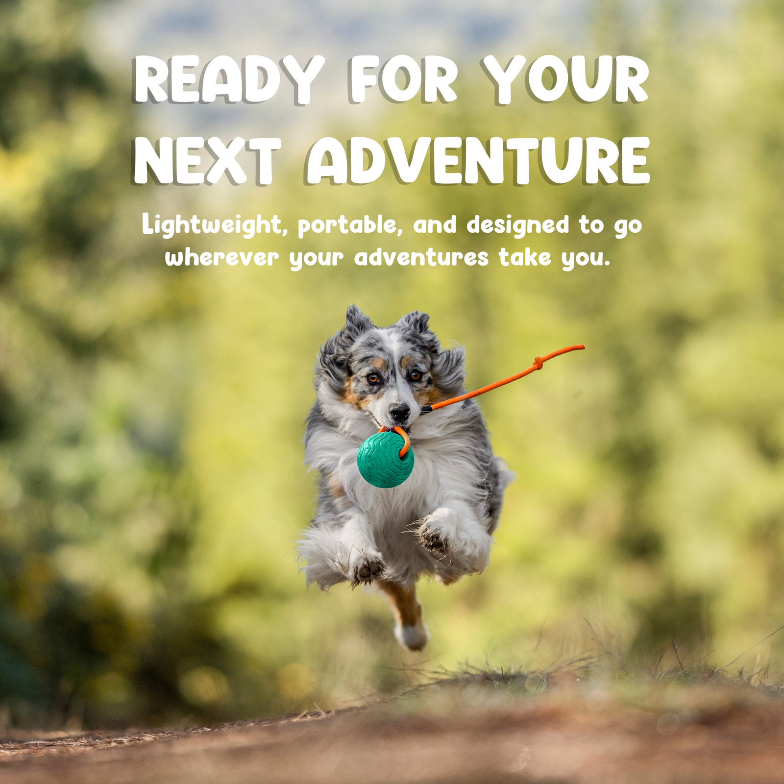 Toss n’ Train Tug Ball