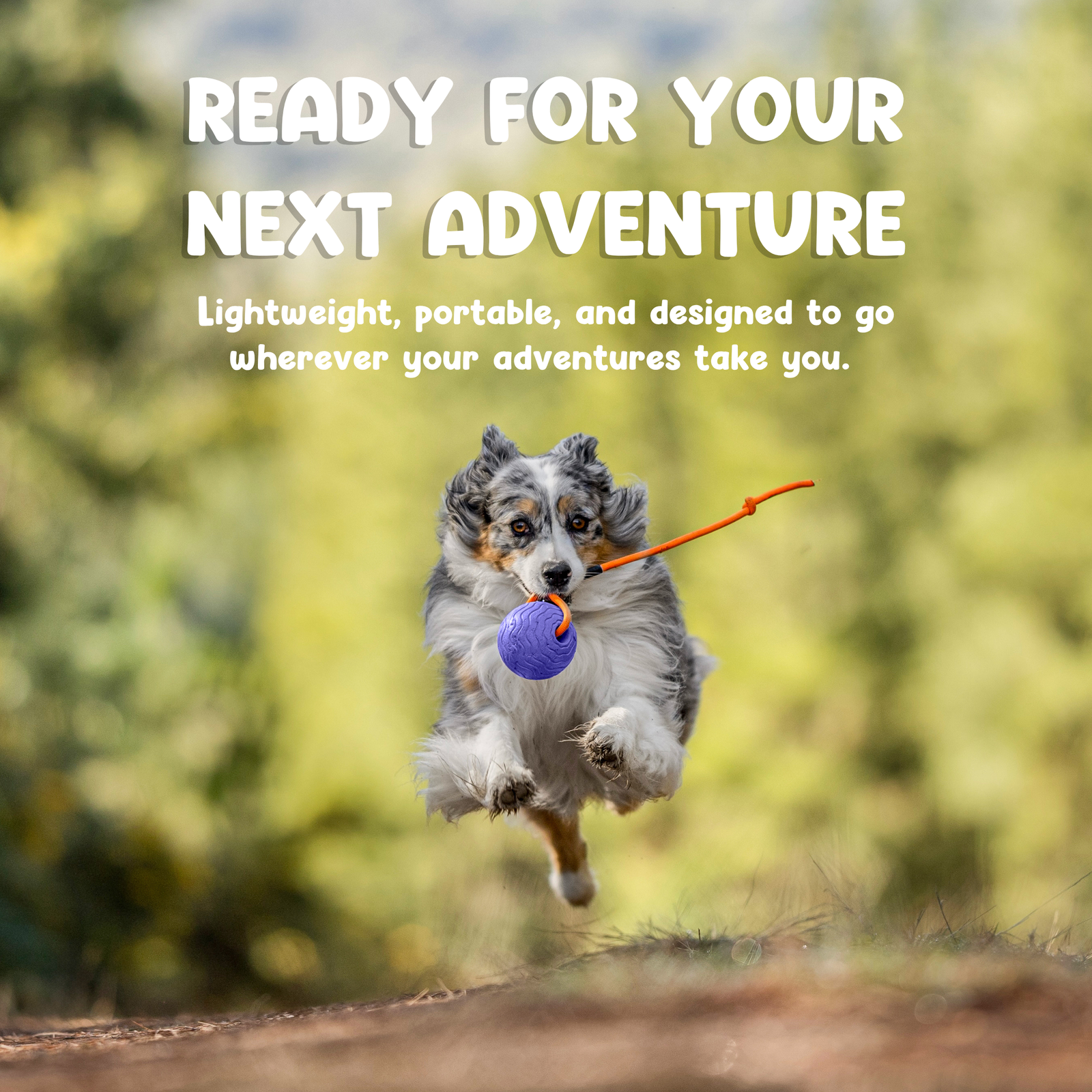 Toss n’ Train Tug Ball