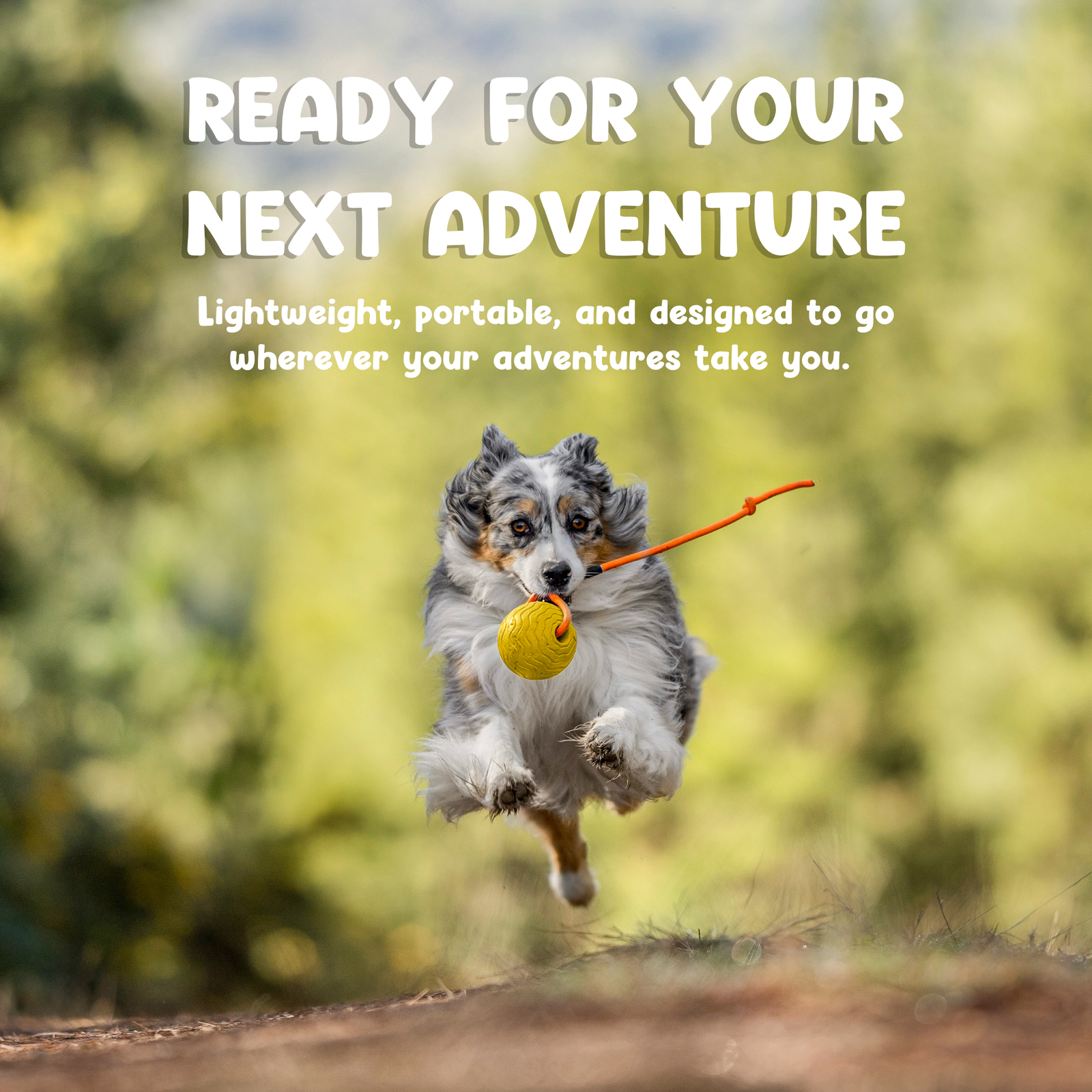 Toss n’ Train Tug Ball