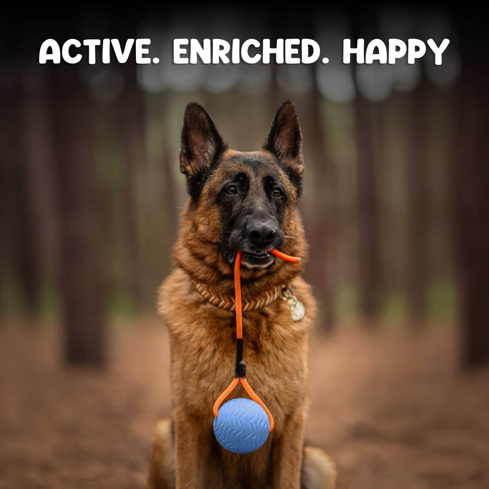 Toss n’ Train Tug Ball