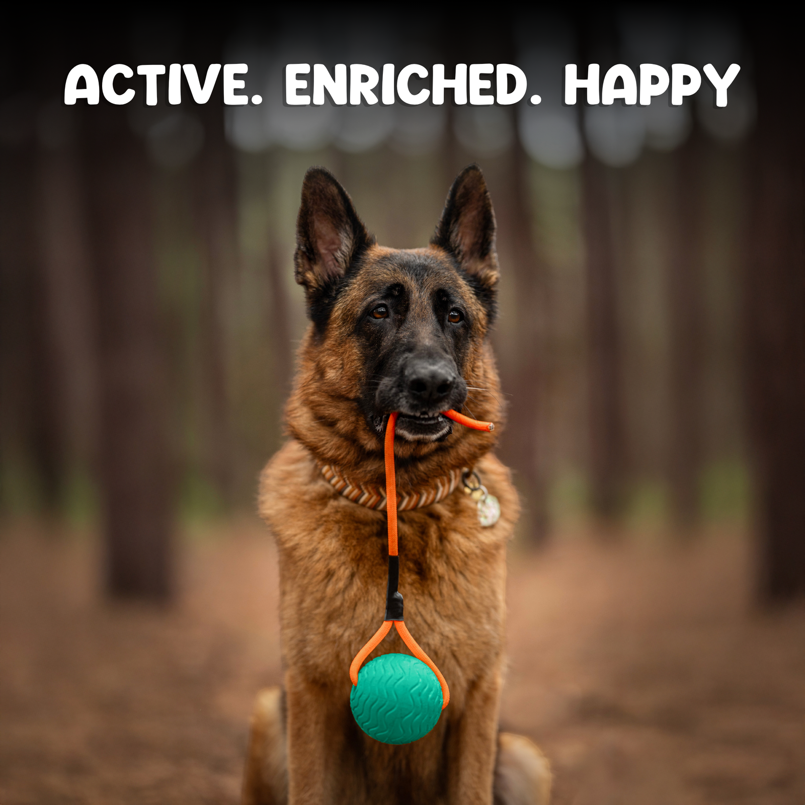 Toss n’ Train Tug Ball