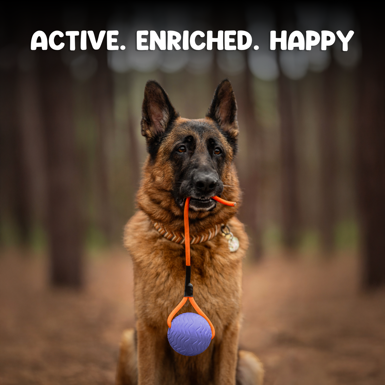 Toss n’ Train Tug Ball