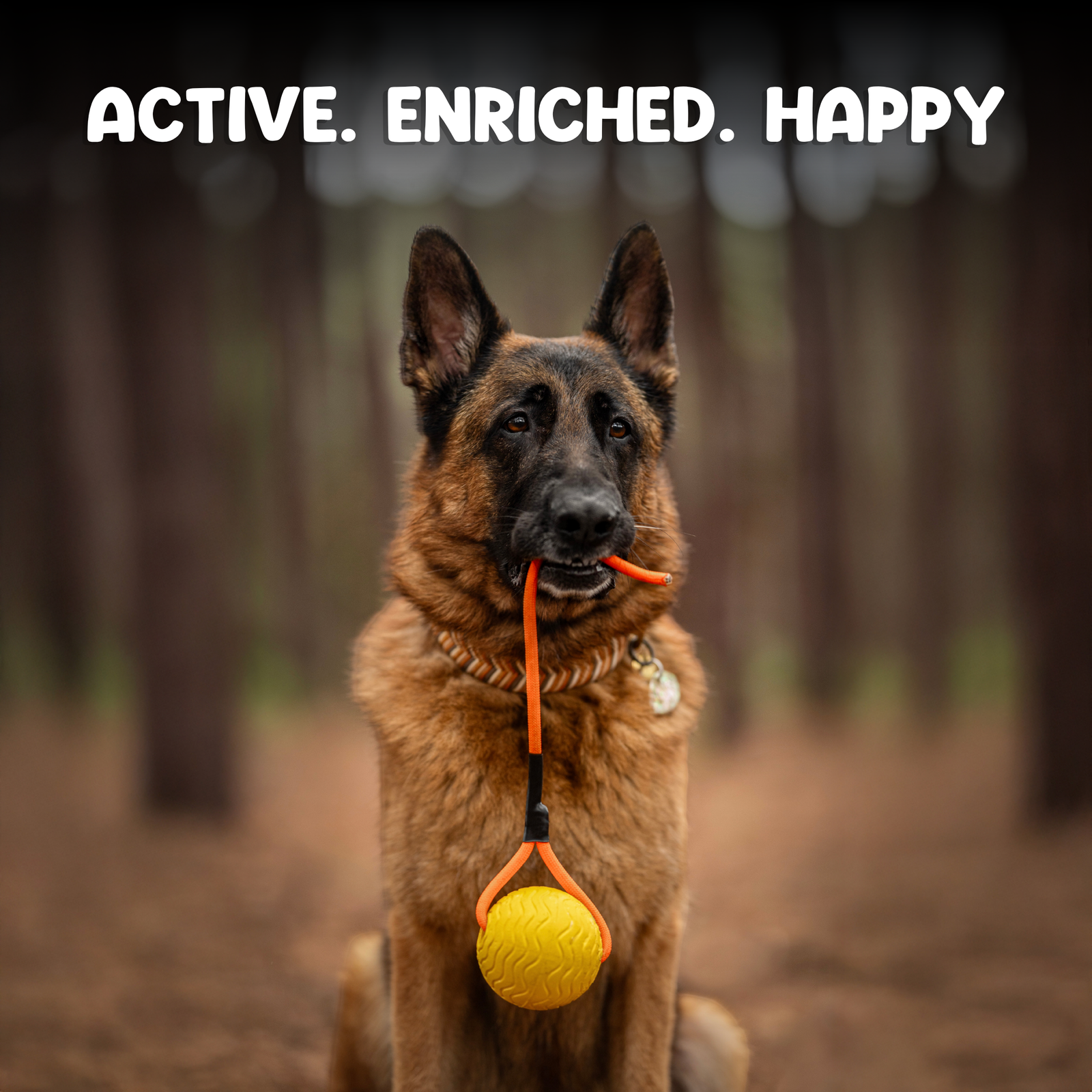 Toss n’ Train Tug Ball