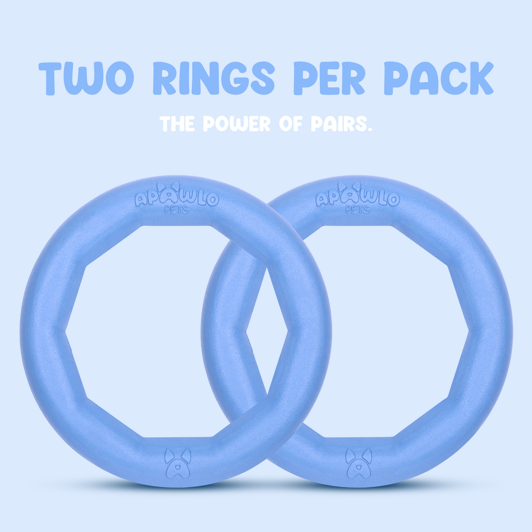 Active Ring (2 Pack) Dog Fitness Toy