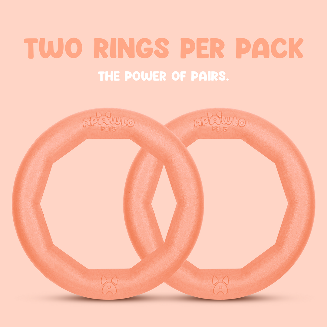 Active Ring (2 Pack) Dog Fitness Toy