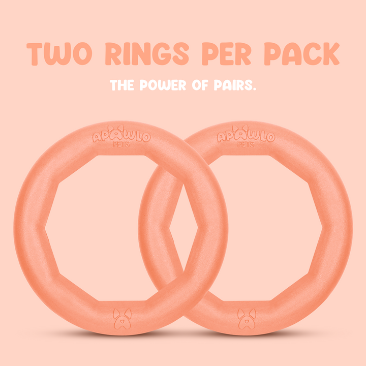 Active Ring (2 Pack) Dog Fitness Toy