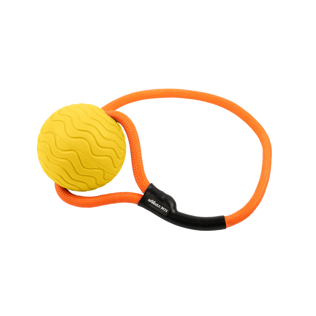 Toss n’ Train Tug Ball