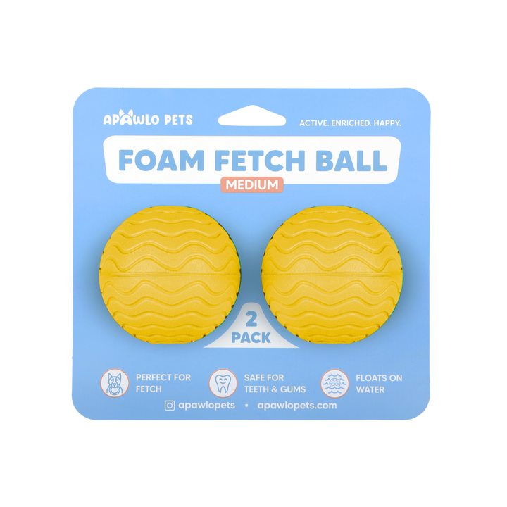 Foam Fetch Ball (2 Pack)