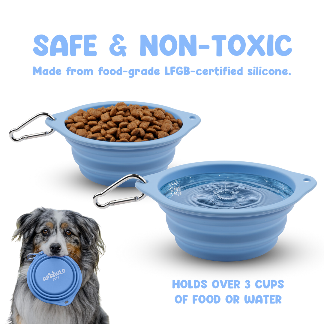 Pop-Up Bowl (800ml)