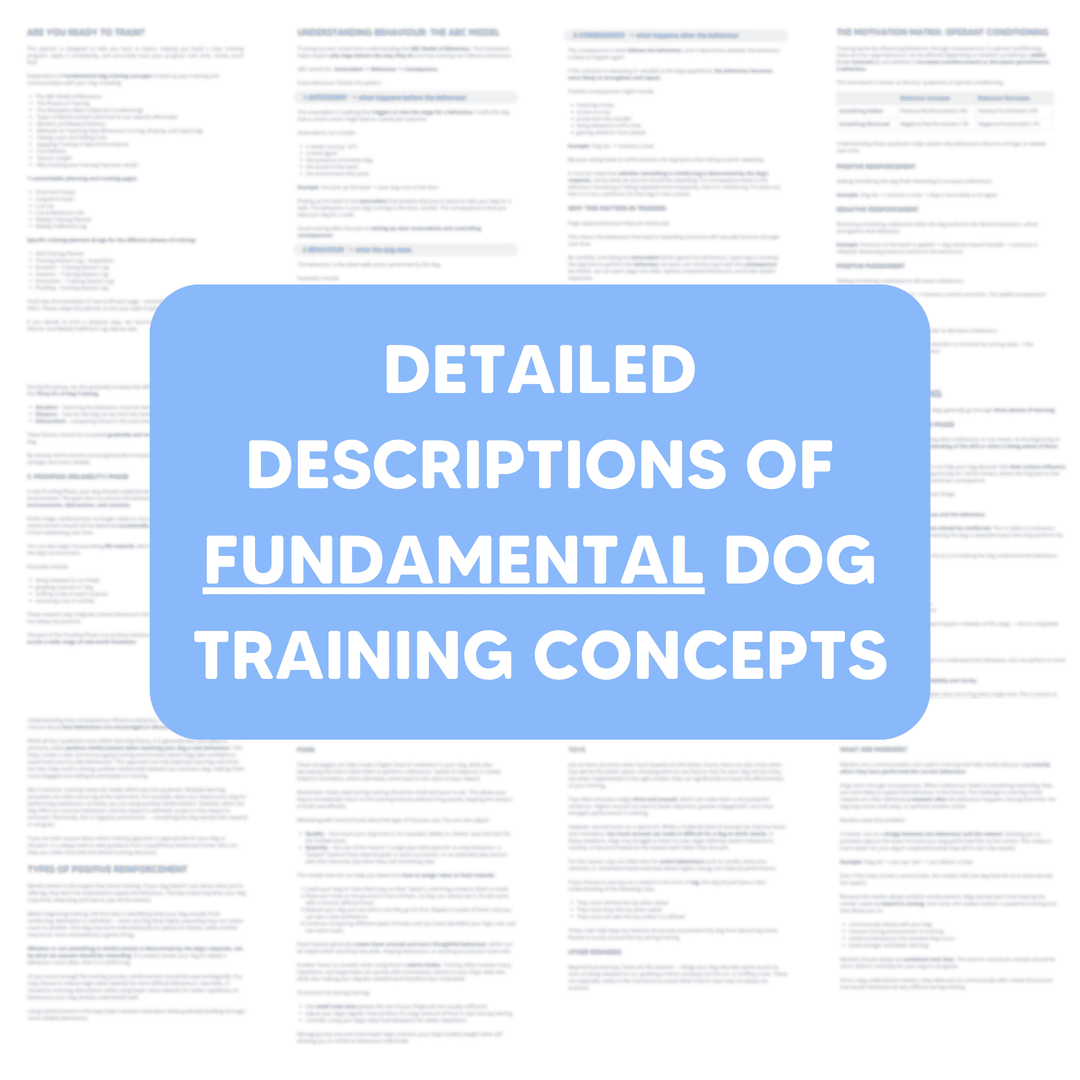 Back to Basics: Dog Training Planner