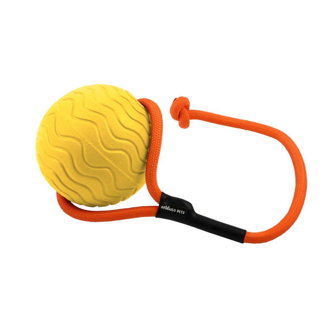 Toss n’ Train Tug Ball