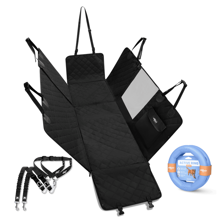 Active Paws Bundle
