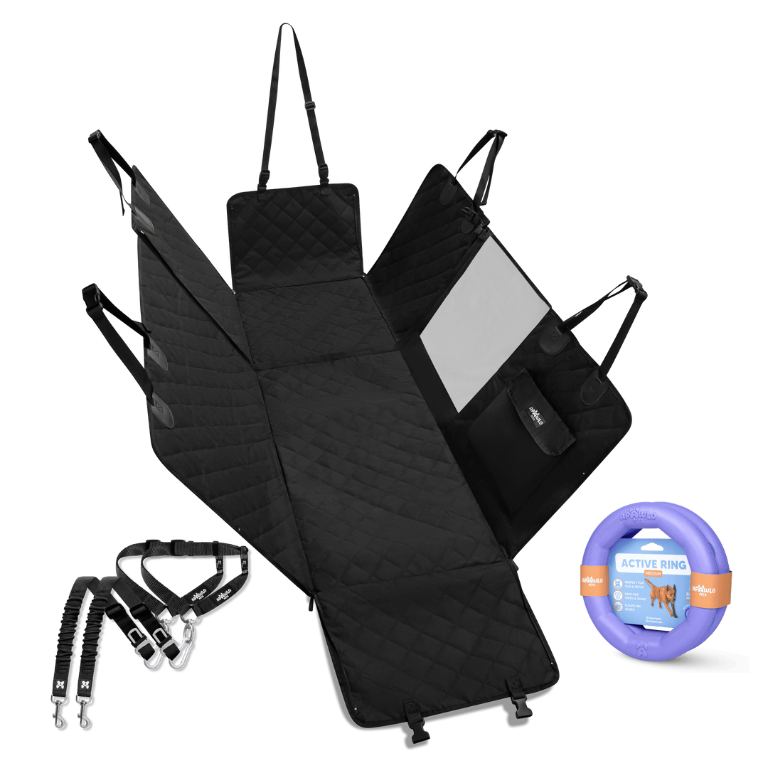 Active Paws Bundle