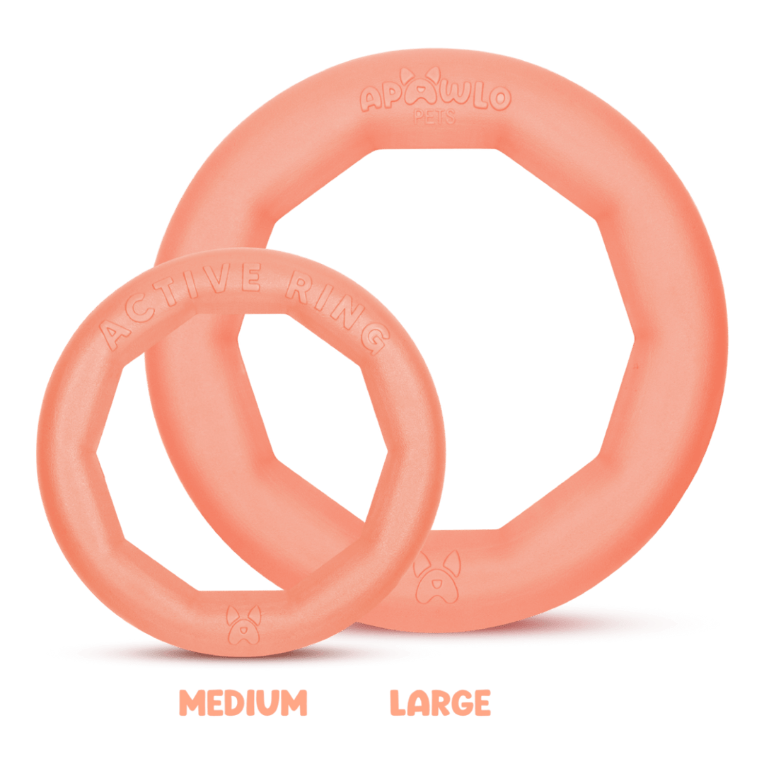 Dog  Toy