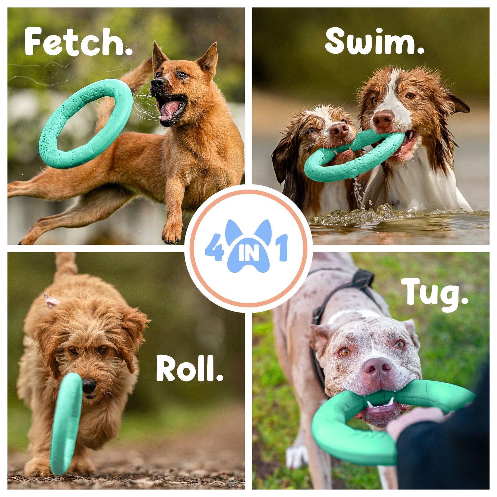 Active Ring (2 Pack) Dog Fitness Toy