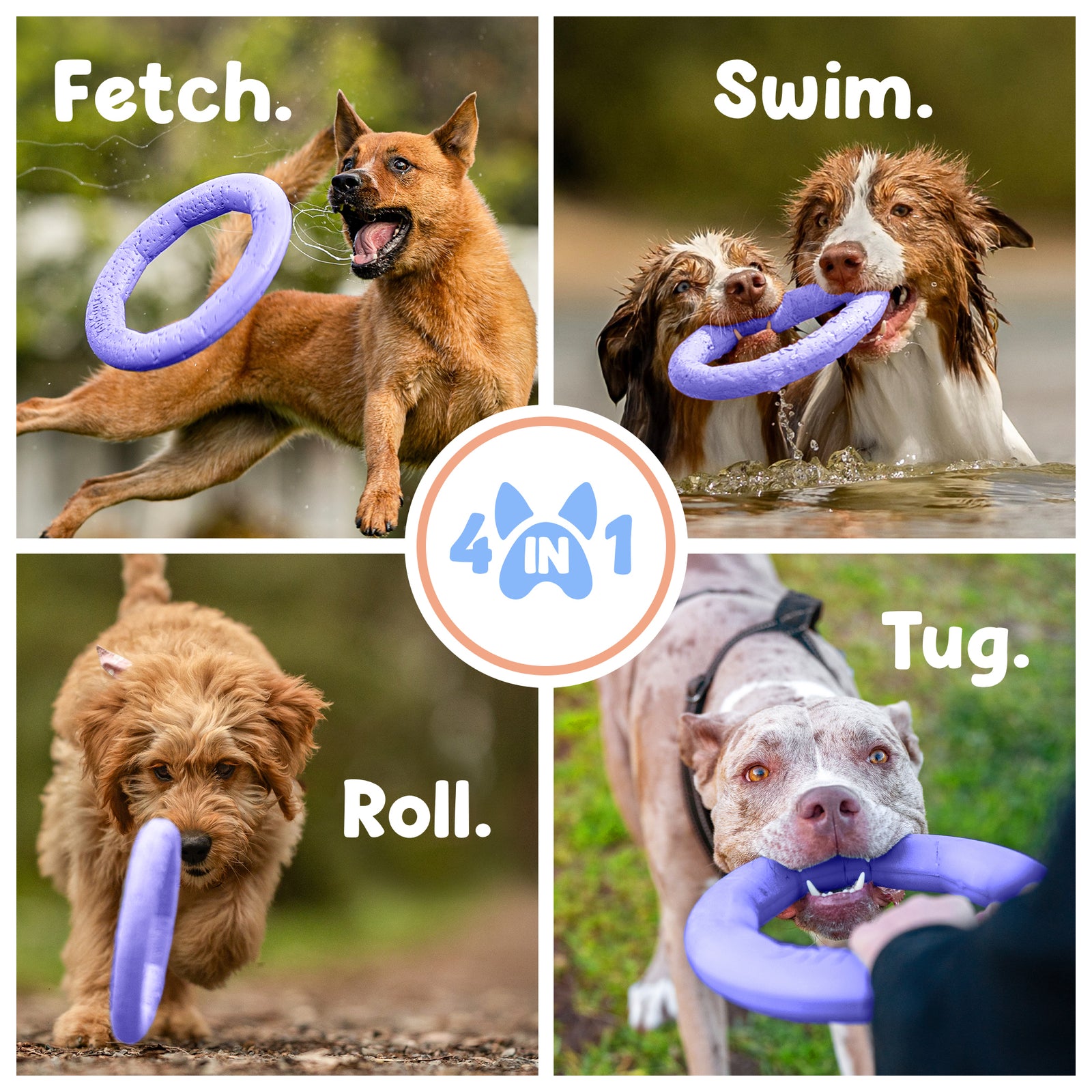 Active Ring (2 Pack) Dog Fitness Toy