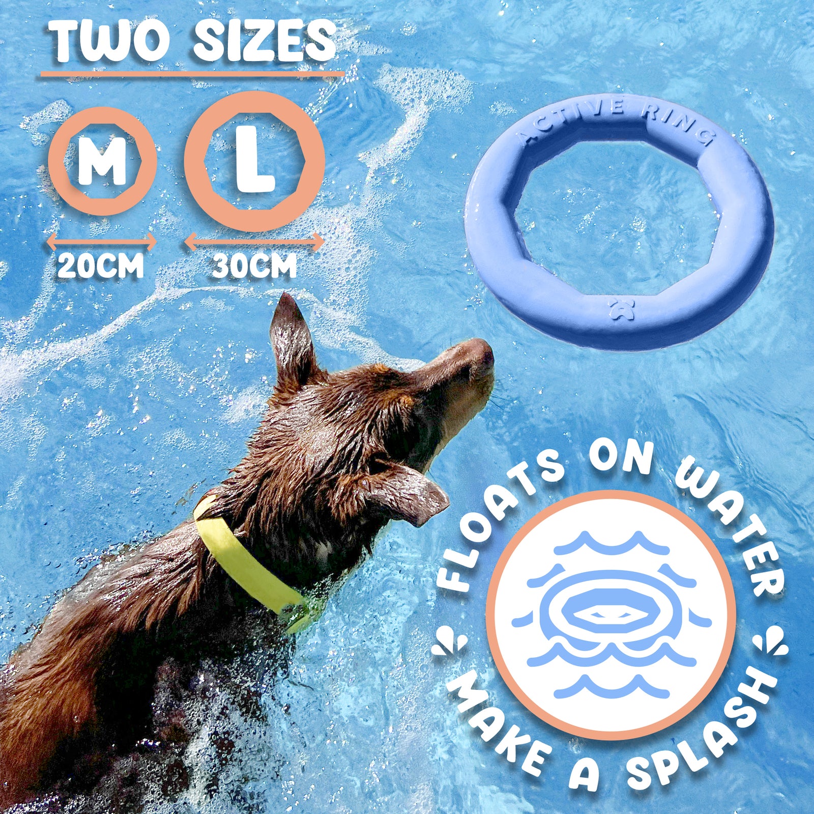 Active Ring (2 Pack) Dog Fitness Toy