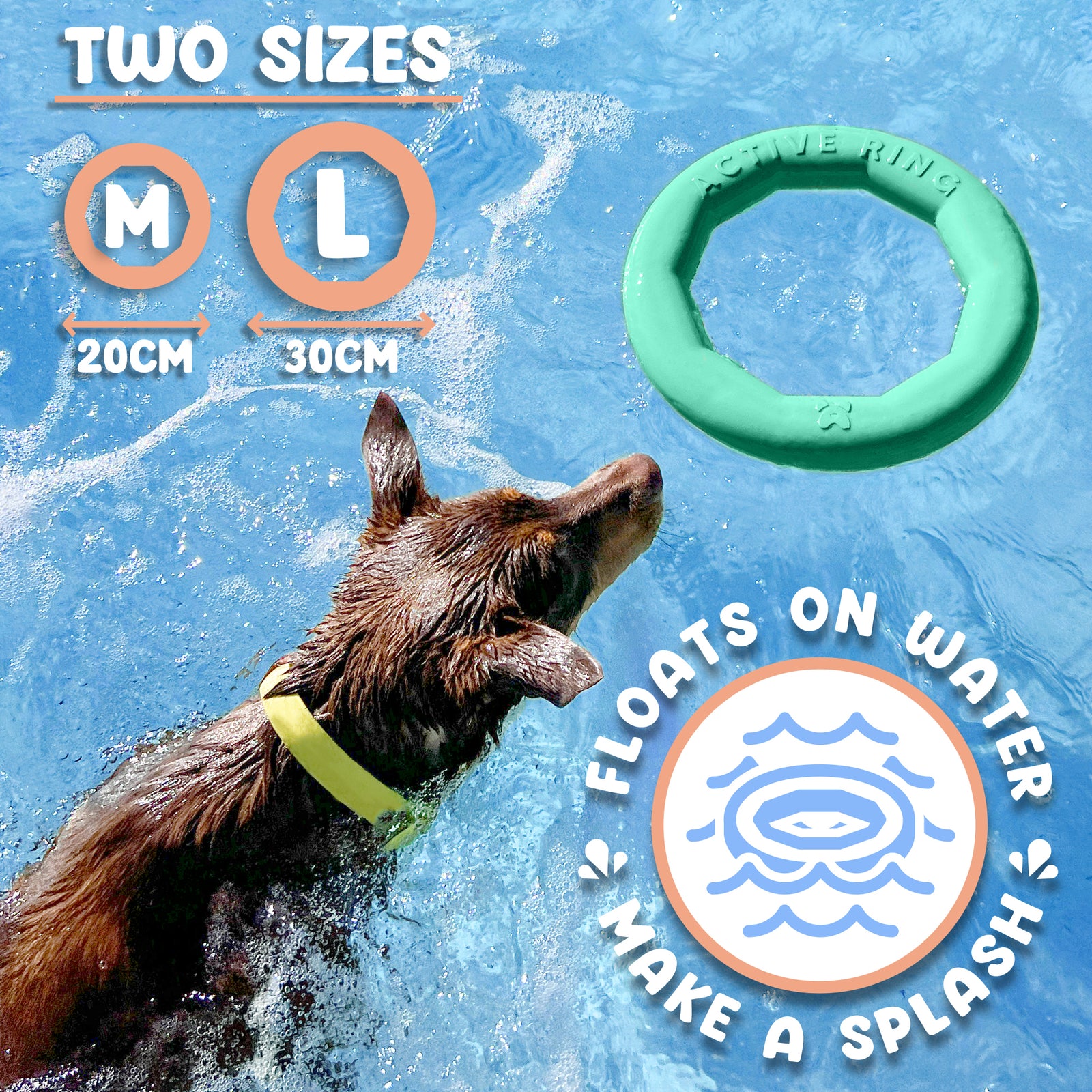 Active Ring (2 Pack) Dog Fitness Toy