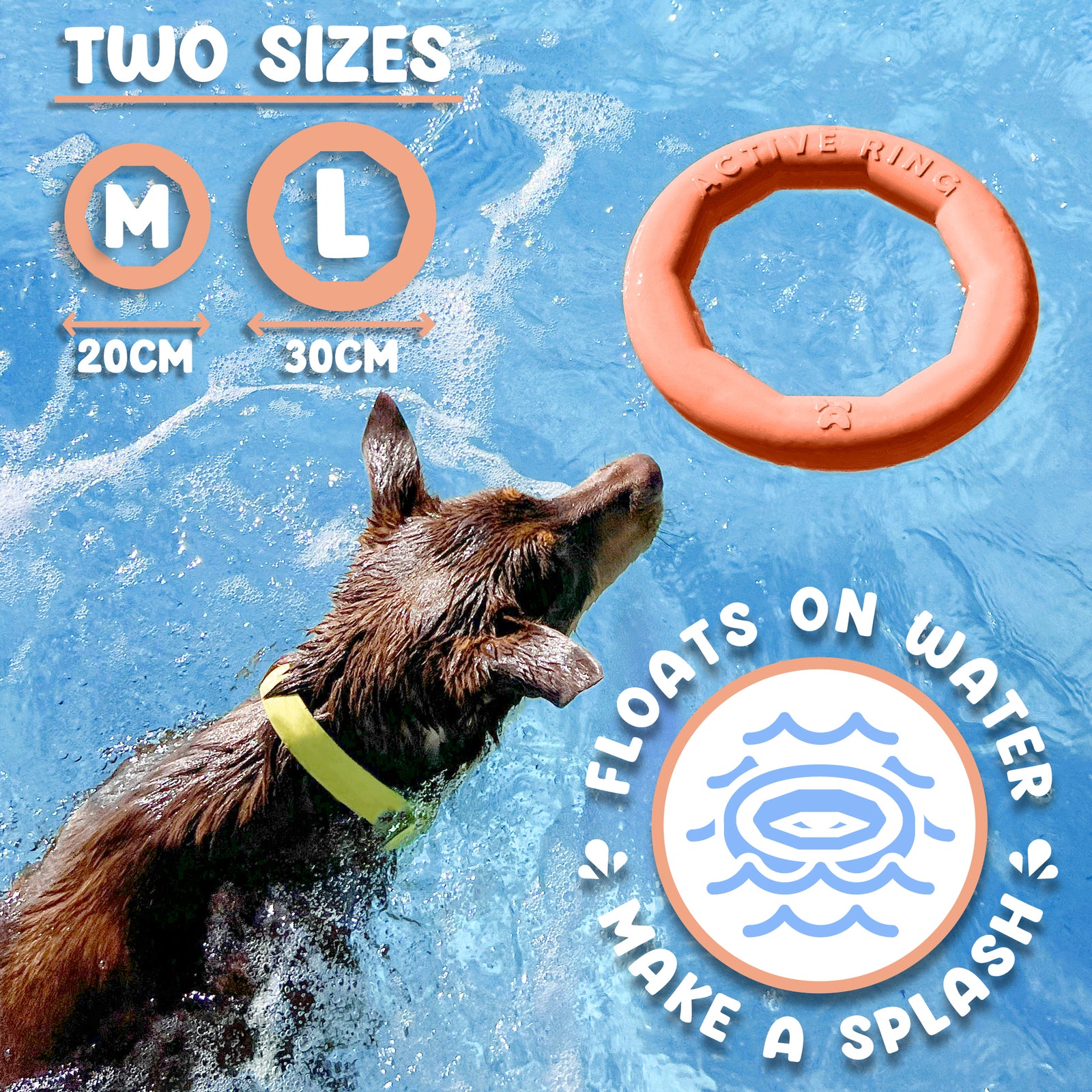 Active Ring (2 Pack) Dog Fitness Toy