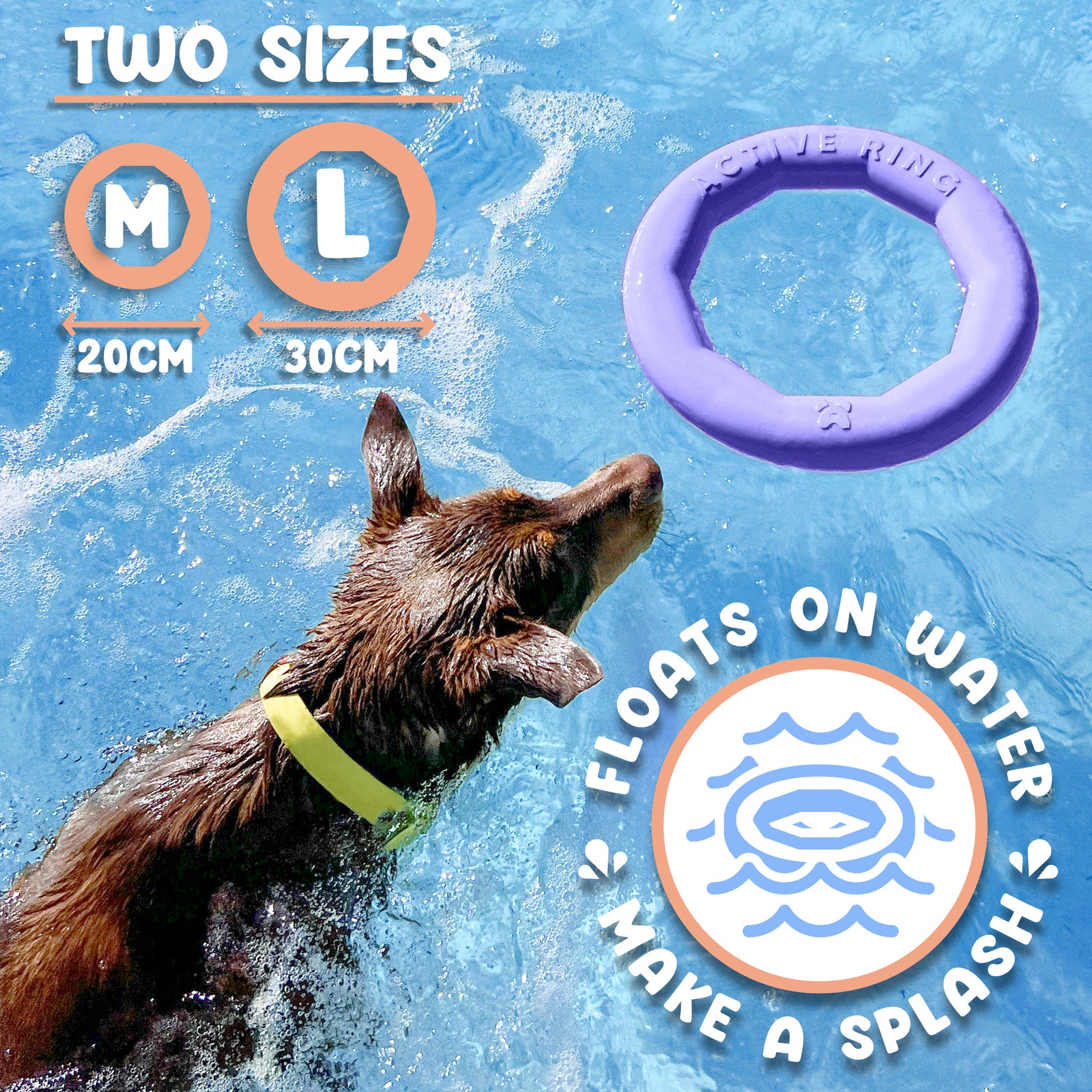 Active Ring (2 Pack) Dog Fitness Toy