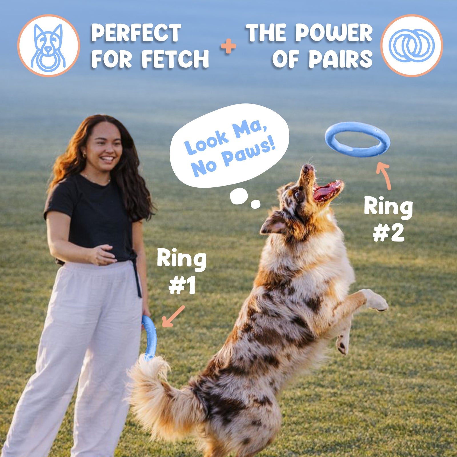 Active Ring (2 Pack) Dog Fitness Toy