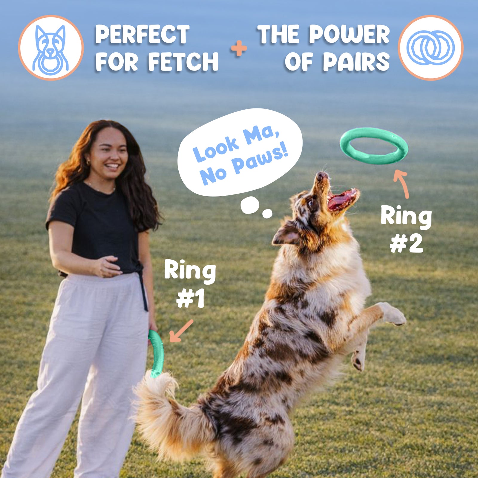 Active Ring (2 Pack) Dog Fitness Toy