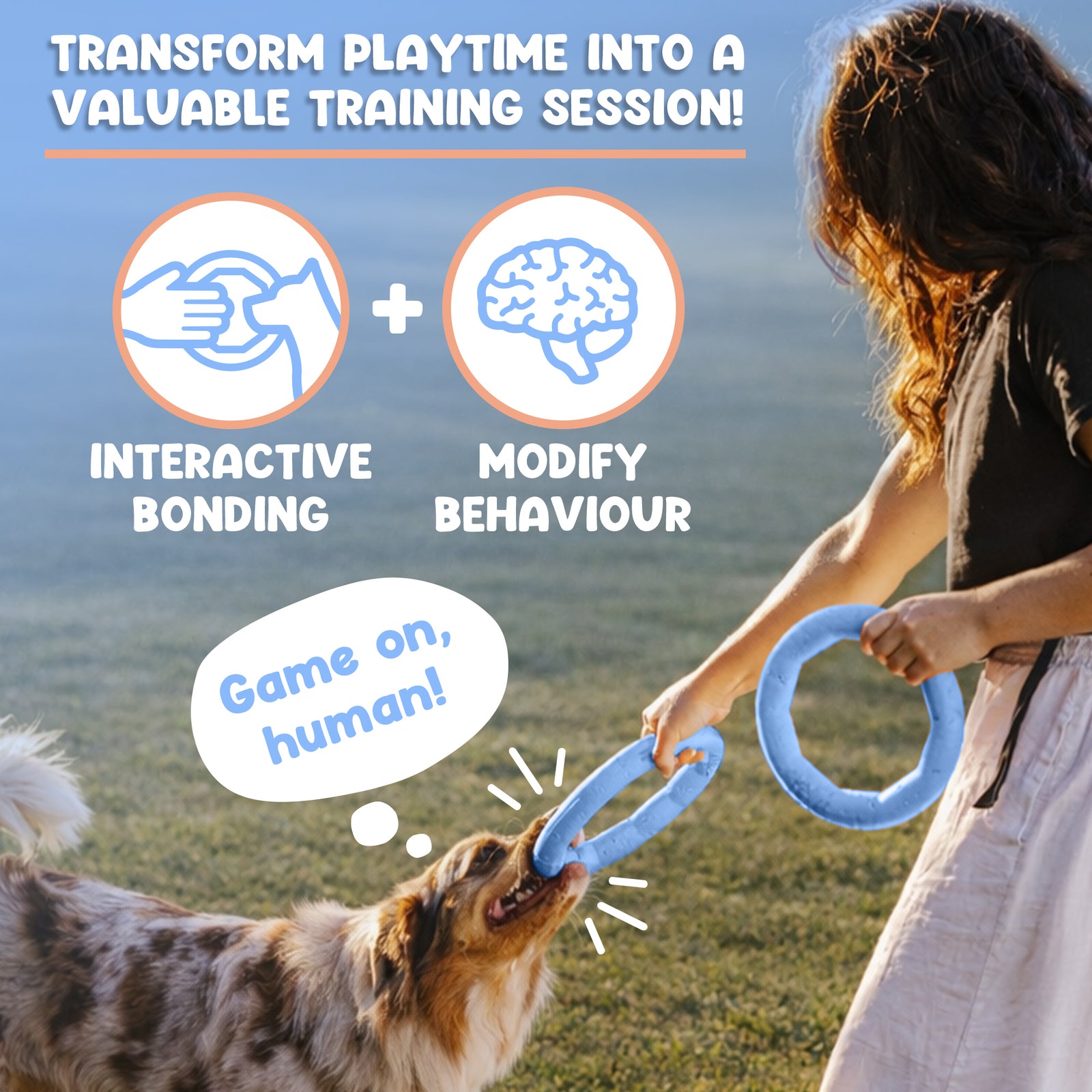 Active Ring (2 Pack) Dog Fitness Toy