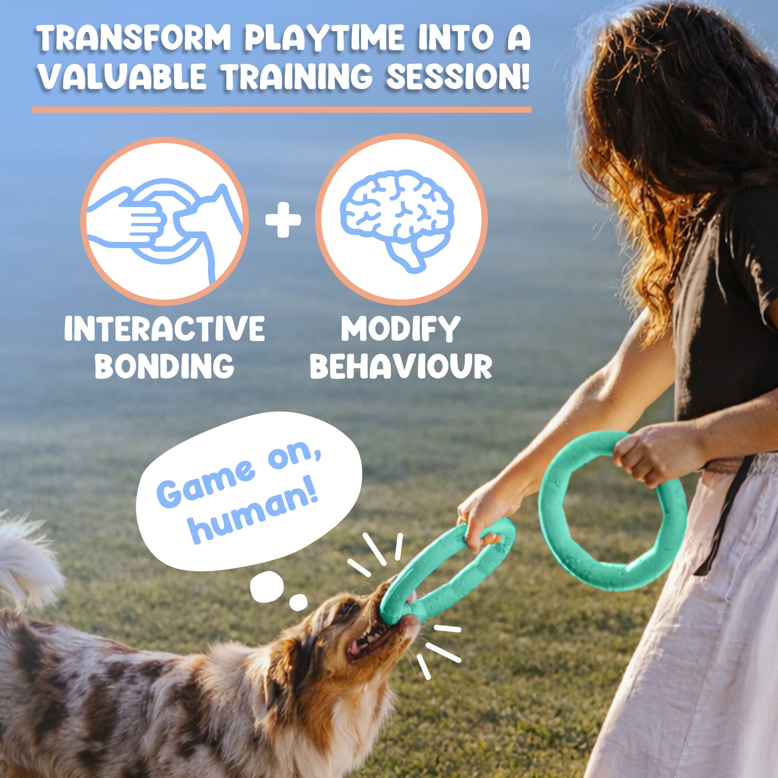 Active Ring (2 Pack) Dog Fitness Toy