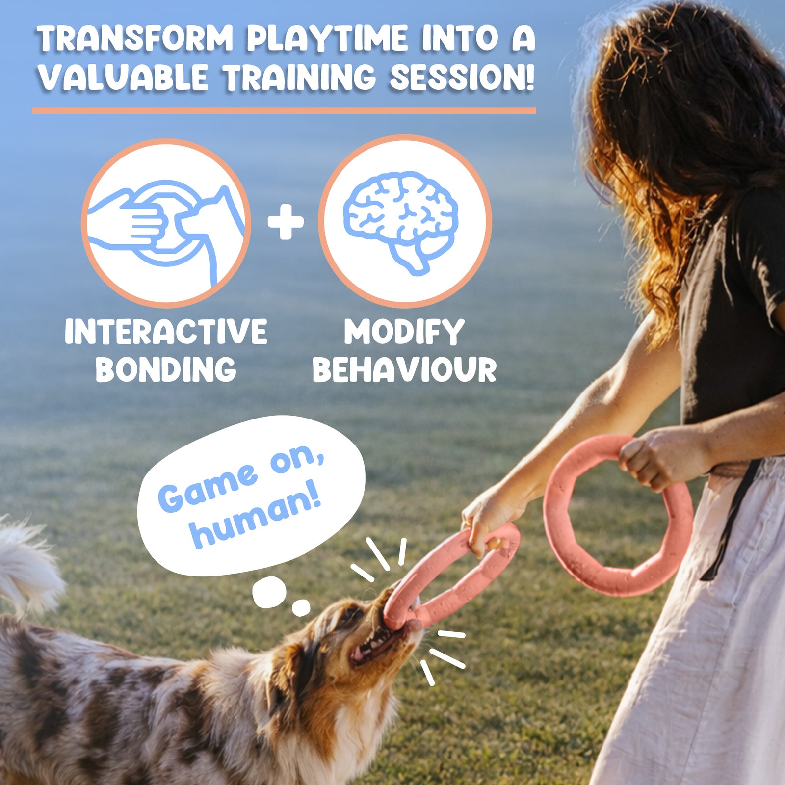 Active Ring (2 Pack) Dog Fitness Toy