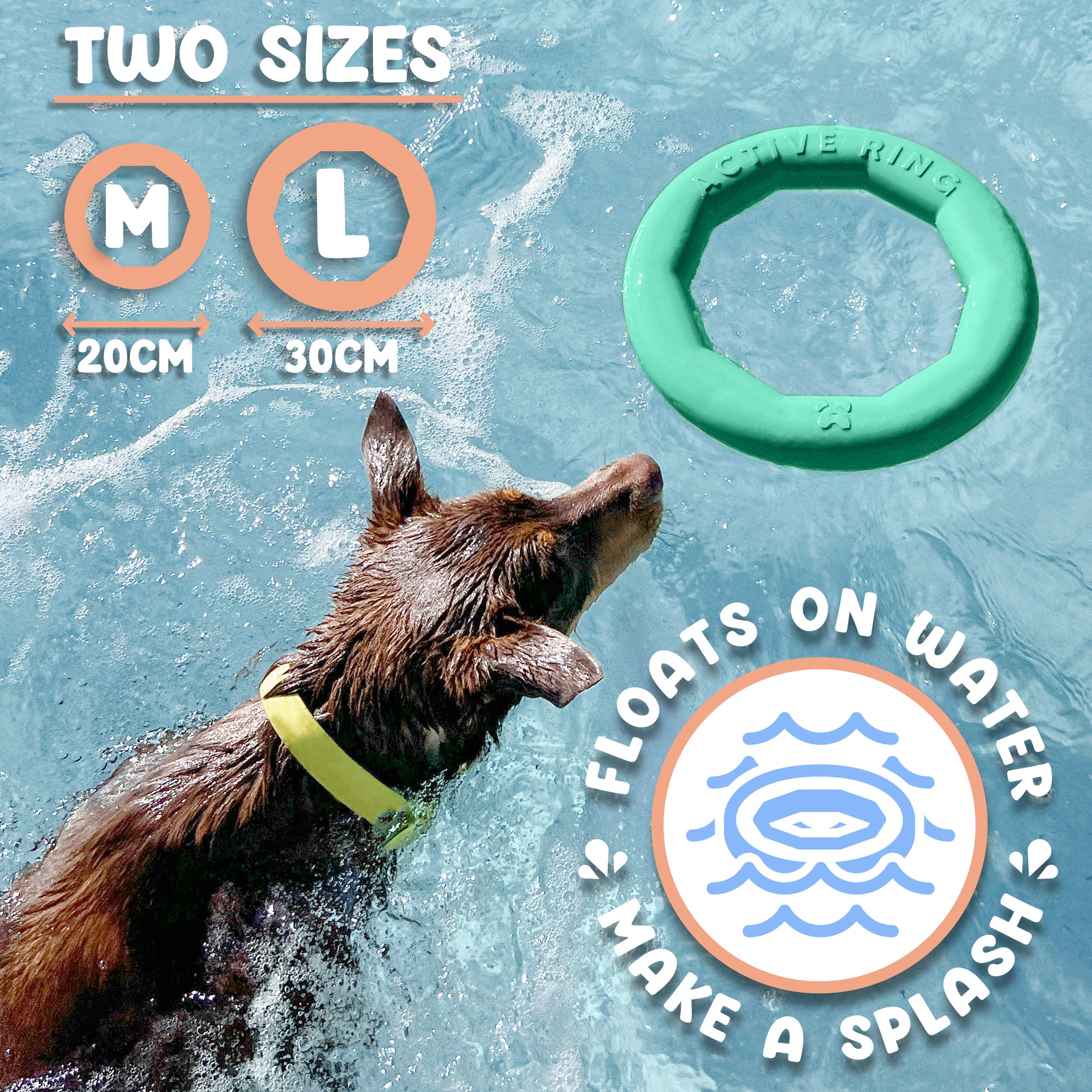 Active Ring (2 Pack) Dog Fitness Toy