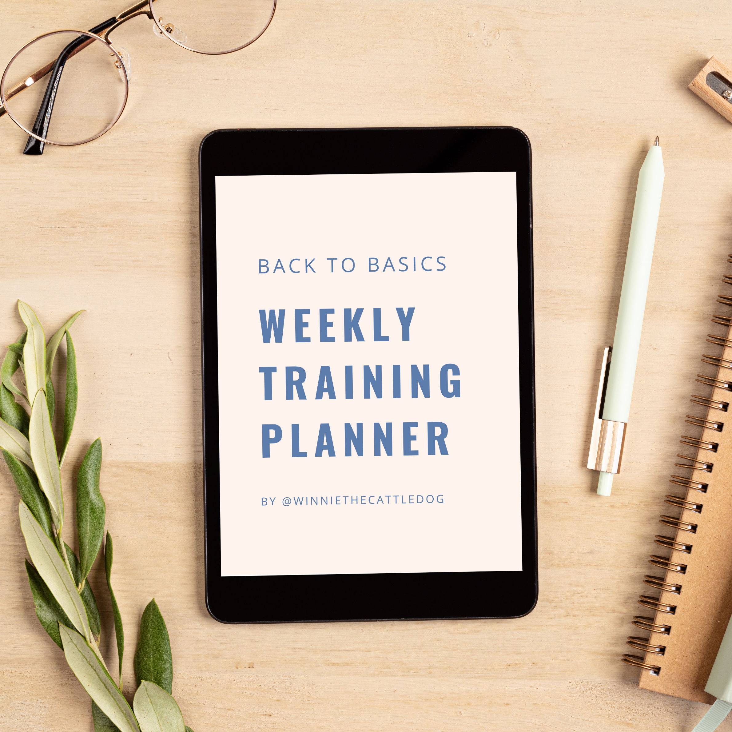 Back to Basics: Dog Training Planner