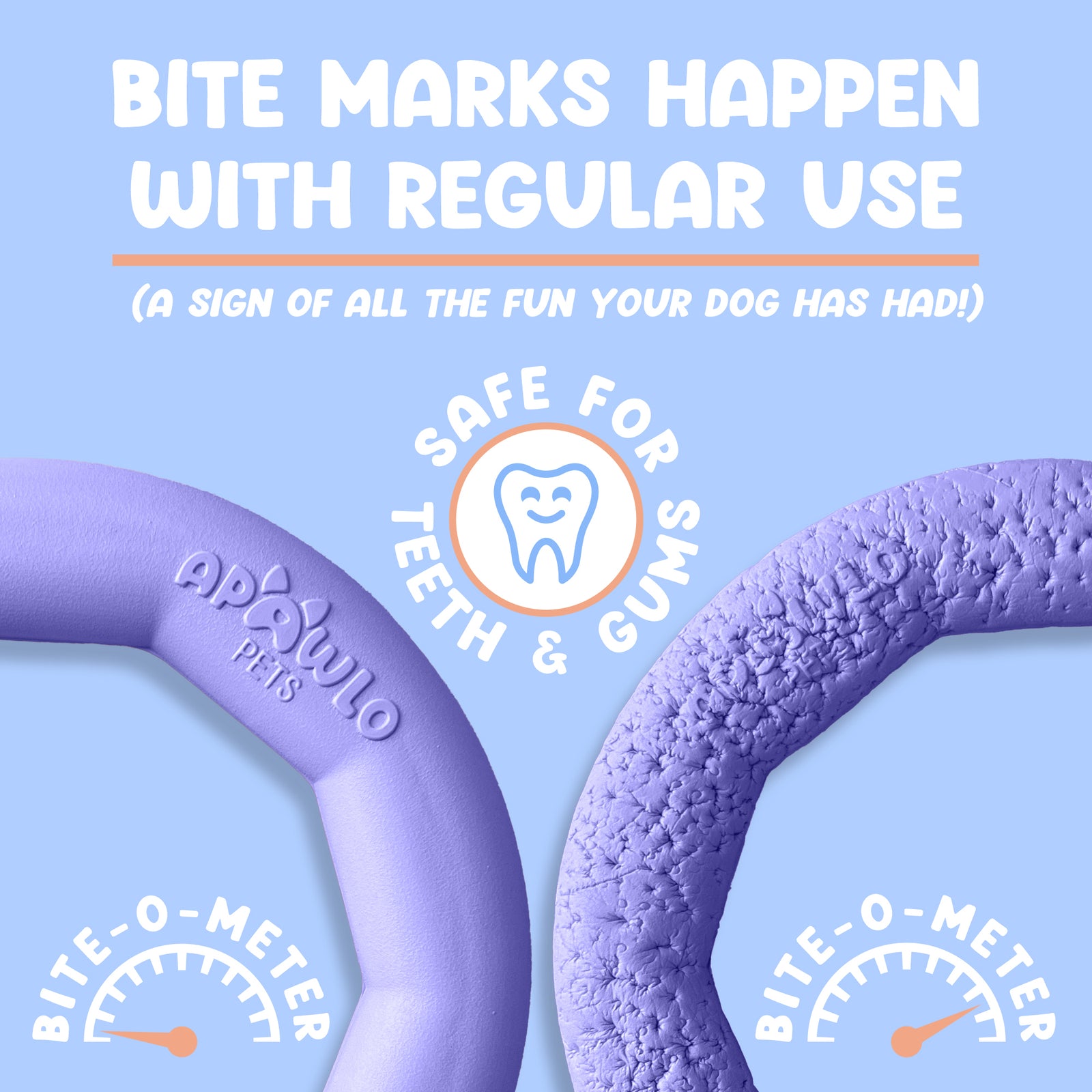 Active Ring (2 Pack) Dog Fitness Toy