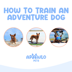 How to Train an Adventure Dog - E-Book