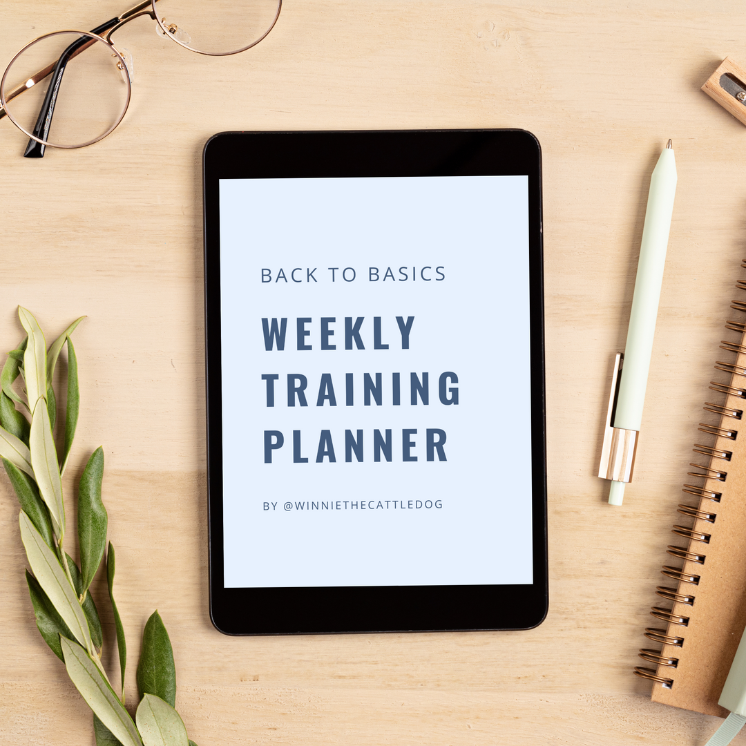 dog weekly training planner