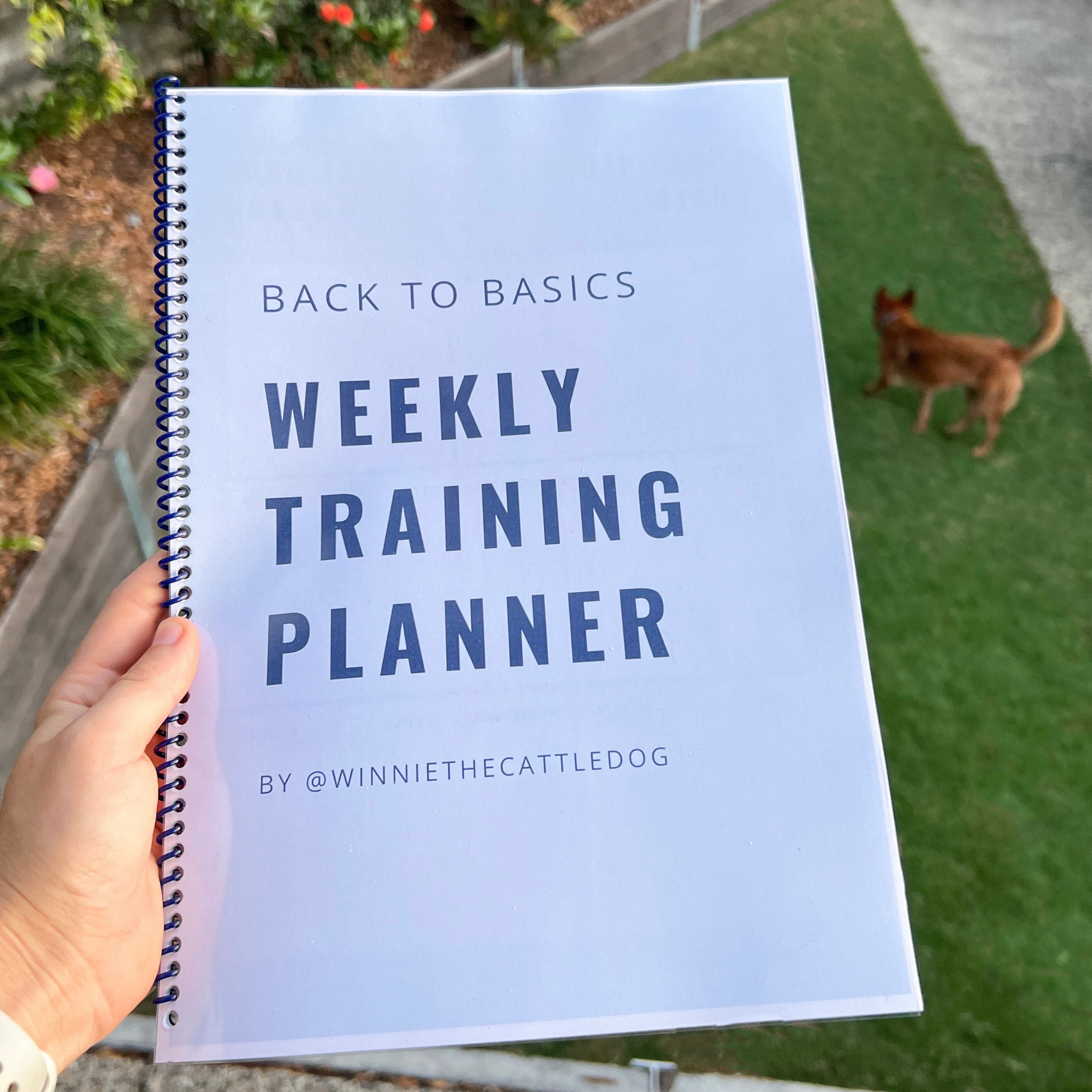 Back To Basics: Dog Training Planner